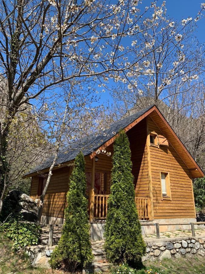 Camping Aneto Benasque Exterior foto